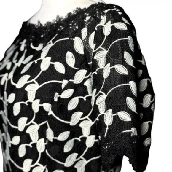 Shani Elegant Black White Lace Dress, Size 12, Knee Length, Fully Lined. - Picture 5 of 16